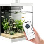 Smart Aquarium with Dual Tank Feeding and App Control