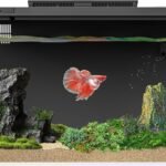 Smart Intelligent Aquarium with App Control and Filtration