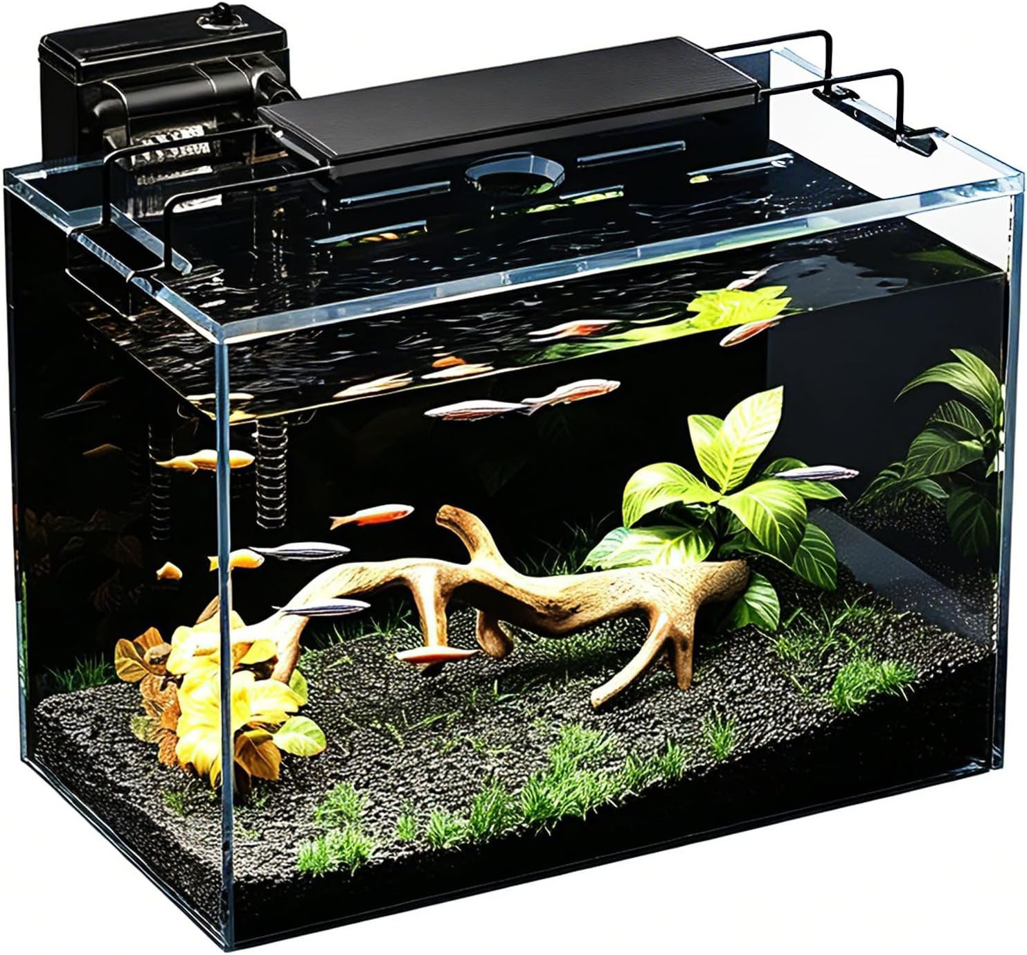 81wo9UbK11L._AC_SL1500_.jpg Smart Aquarium with Three Stage Filtration and LED Timer - Image 1