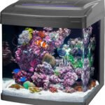 Smart All In One Aquarium with App Controlled Lighting