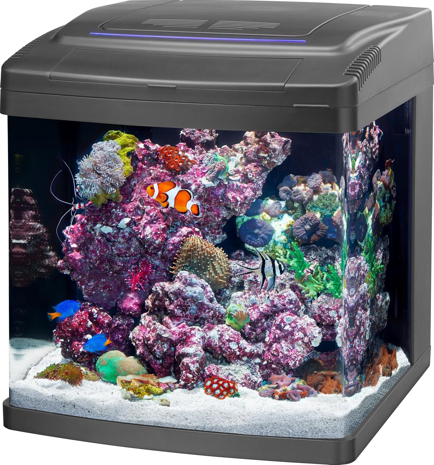 91ki-CbgUYL._AC_SL1500_.jpg Smart All In One Aquarium with App Controlled Lighting - Image 1